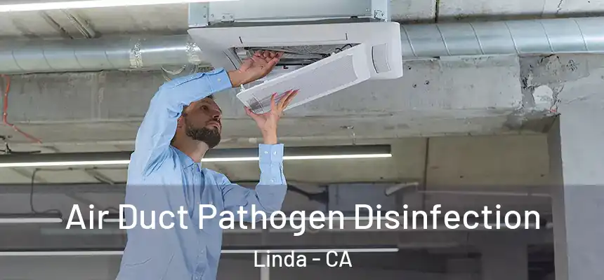 Air Duct Pathogen Disinfection Linda - CA