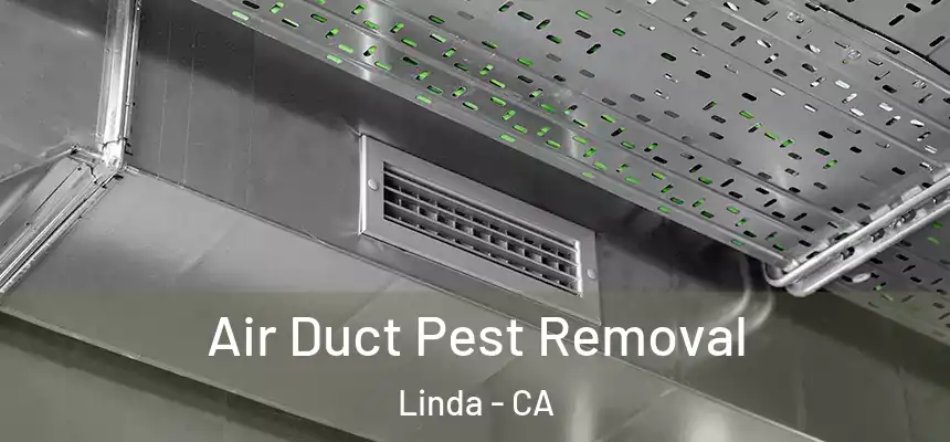 Air Duct Pest Removal Linda - CA