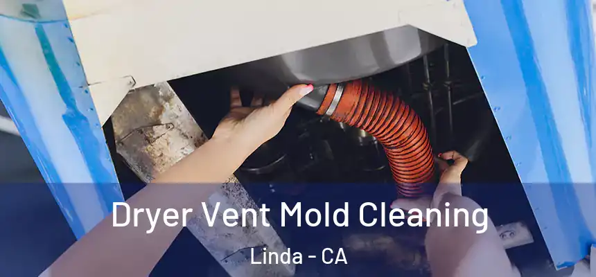  Dryer Vent Mold Cleaning Linda - CA