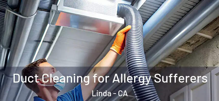 Duct Cleaning for Allergy Sufferers Linda - CA