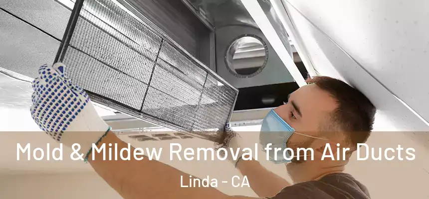 Mold & Mildew Removal from Air Ducts Linda - CA