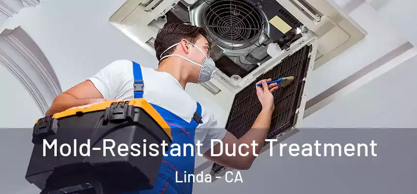 Mold-Resistant Duct Treatment Linda - CA