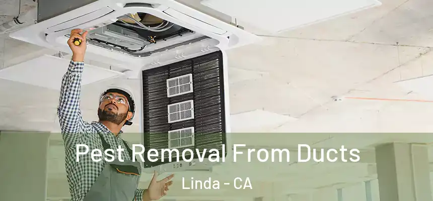 Pest Removal From Ducts Linda - CA