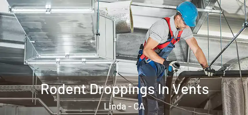 Rodent Droppings In Vents Linda - CA
